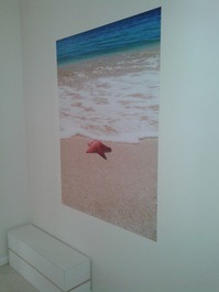 EXCELENTE APARTAMENTO COM VISTA PARA O MAR NOS INGLESES