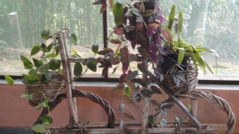 Sitio en la playa con cascadas.