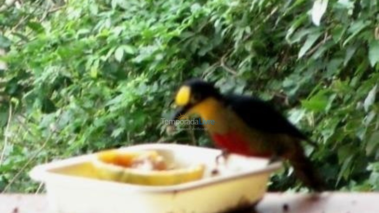 Casa para aluguel de temporada em Ilhabela (Praia da Feiticeira)