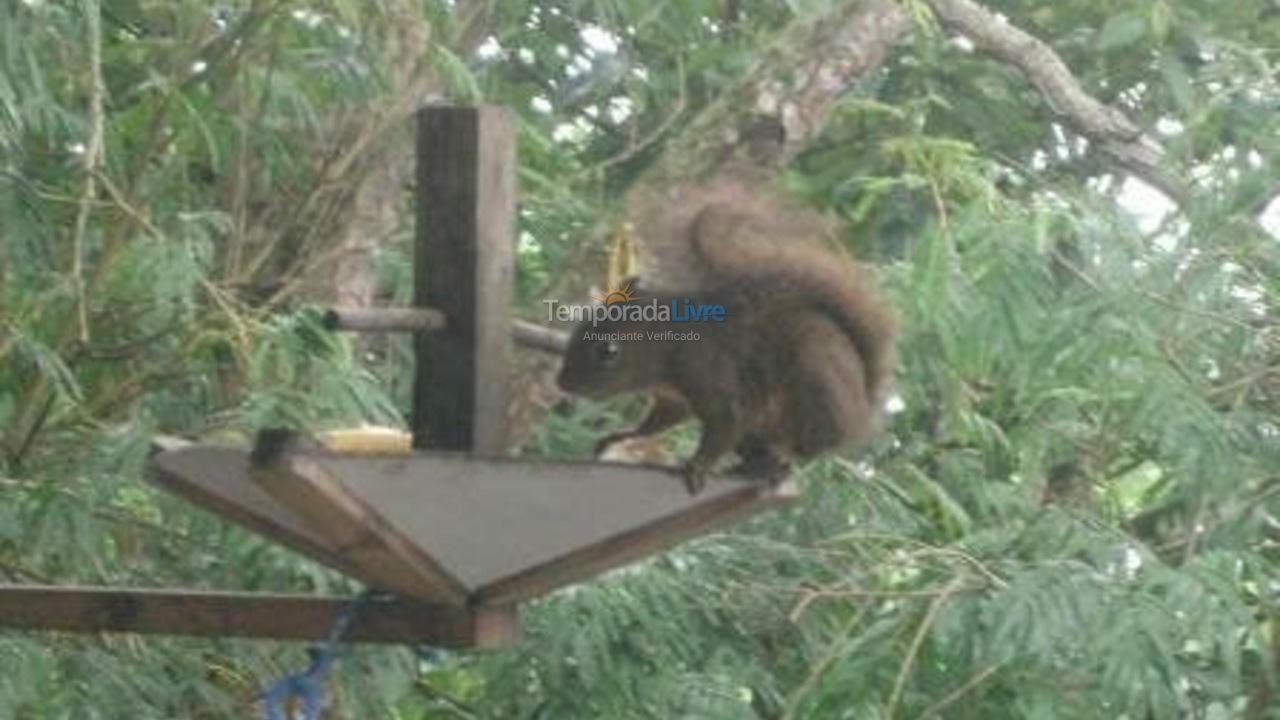 Casa para aluguel de temporada em Ilhabela (Praia da Feiticeira)