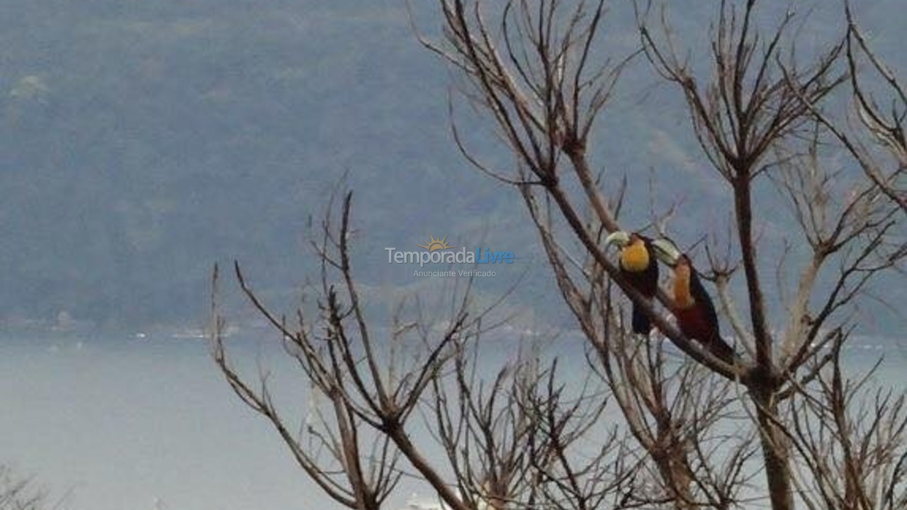 Casa para aluguel de temporada em Ilhabela (Praia da Feiticeira)