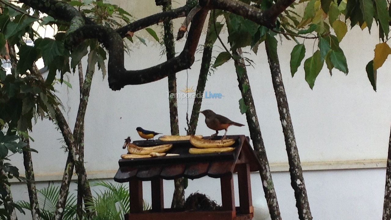 Casa para aluguel de temporada em Guaratuba (Brejatuba)
