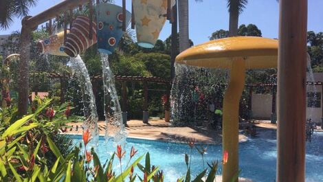 Fiso en alquiler, Caldas Novas / GO