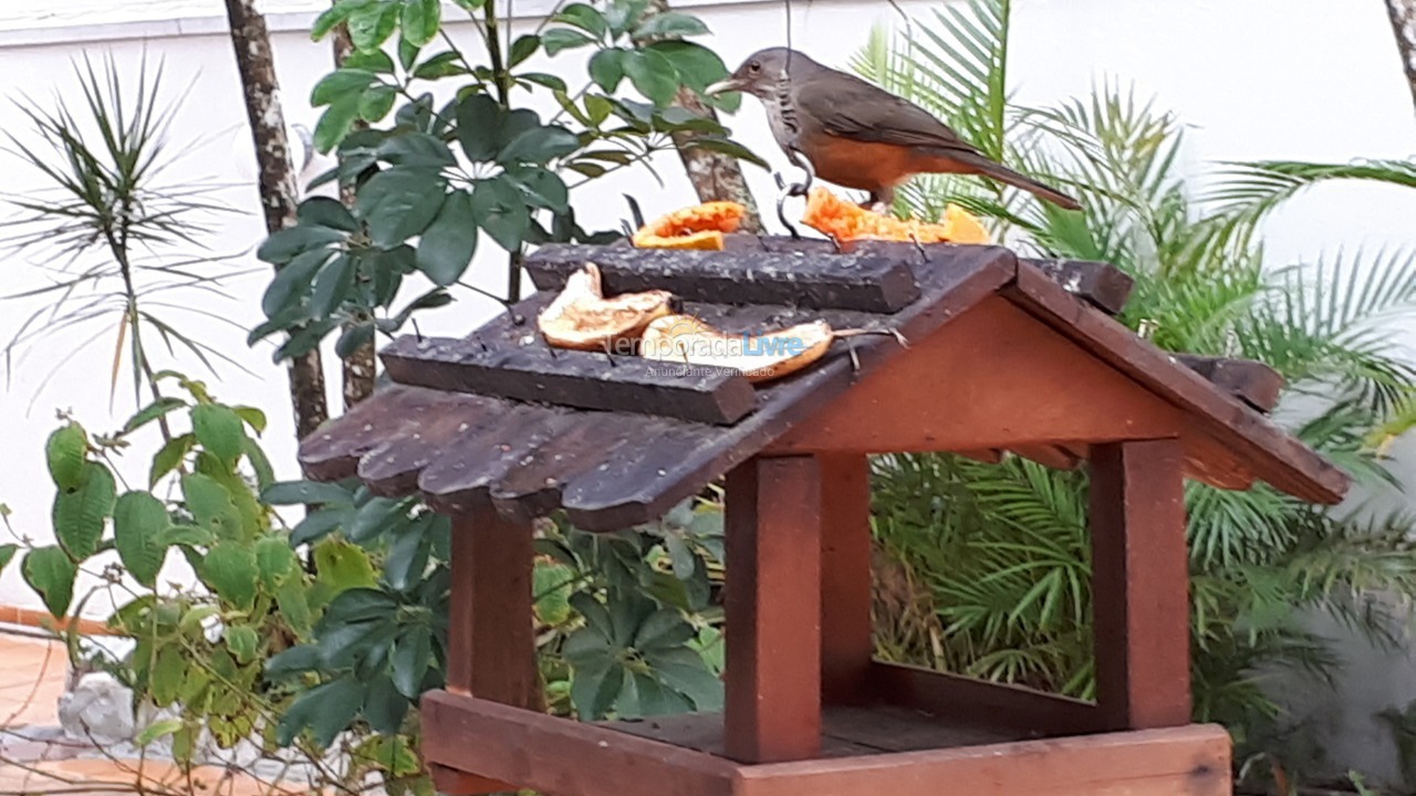 Casa para aluguel de temporada em Guaratuba (Brejatuba)