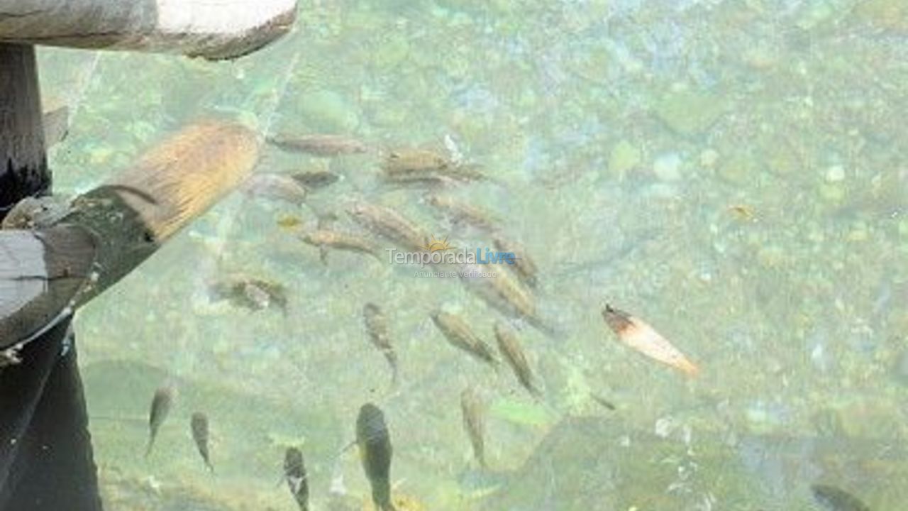 Apartment for vacation rental in Rio Quente (Esplanada)