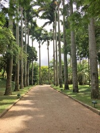 Escénica MANSIÓN - CLAUDIO BERNARDES PROYECTO - JARDINES 8.000 m2