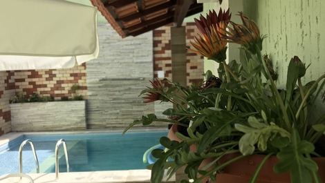 Playa y piscina climatizada en Diving Capital