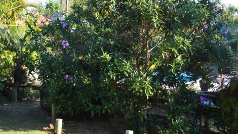 Casa con piscina para 8 personas en Praia do Rosa