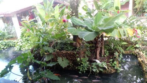 House with pool in Cambury