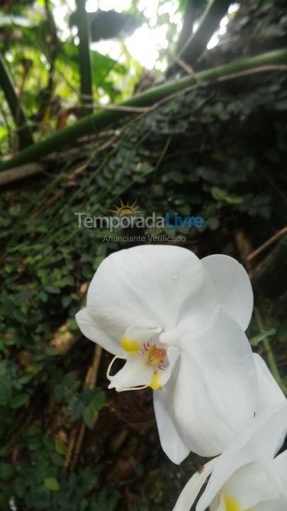 House for vacation rental in São Sebastião (Camburi)