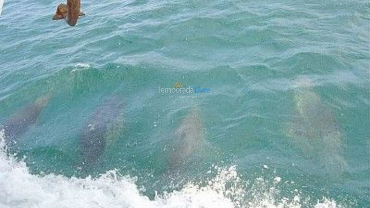 Apartment for vacation rental in Arraial do Cabo (Prainha)