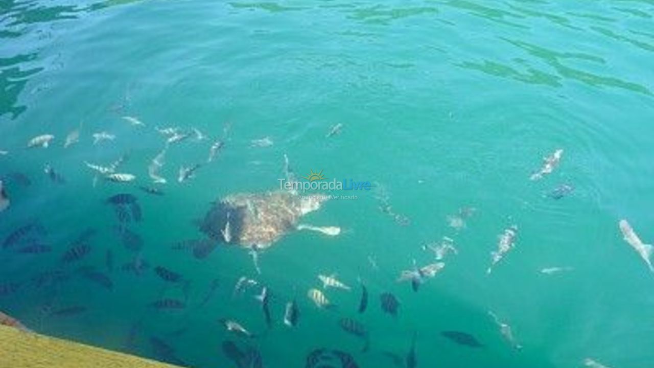 Apartment for vacation rental in Arraial do Cabo (Prainha)