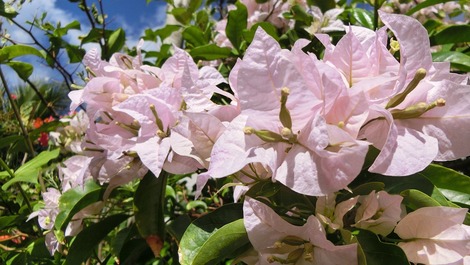 Casa em Cabo Frio 500 m da praia do Peró e Conchas com WIFI