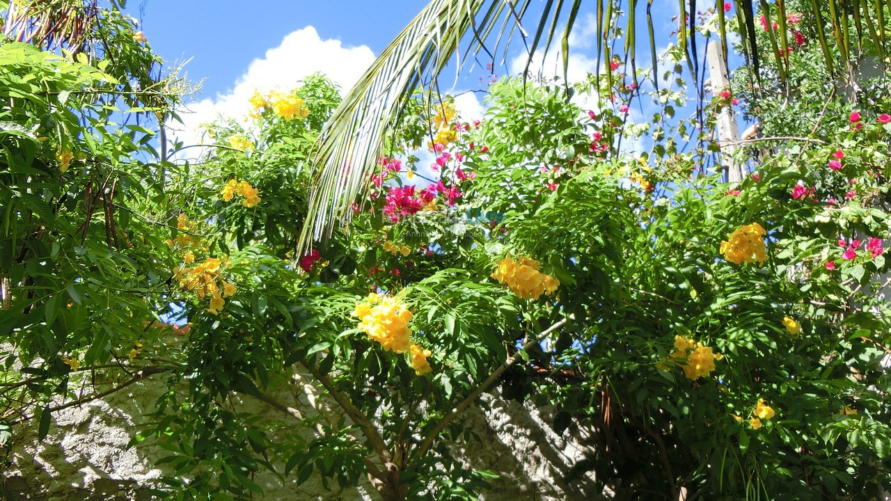 Casa para aluguel de temporada em Cabo Frio (Peró)