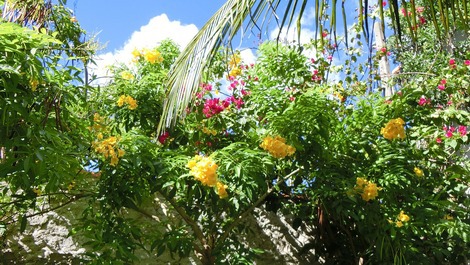 Casa em Cabo Frio 500 m da praia do Peró e Conchas com WIFI
