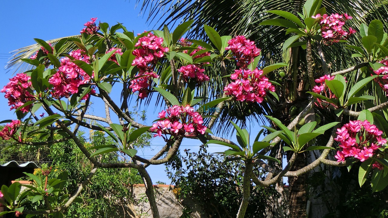 Casa para aluguel de temporada em Cabo Frio (Peró)