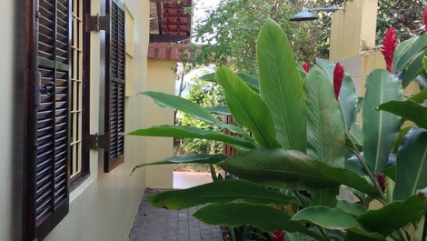 Você sai do mar direto para a ducha