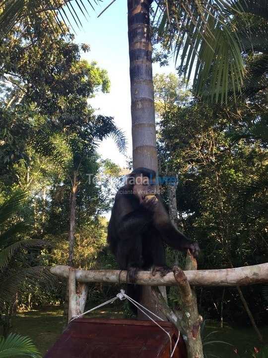 House for vacation rental in Bertioga (Riviera de São Lourenço)