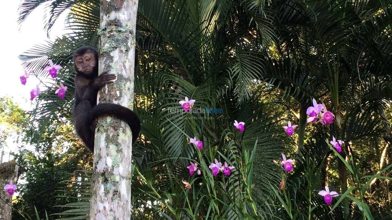 House for vacation rental in Bertioga (Riviera de São Lourenço)