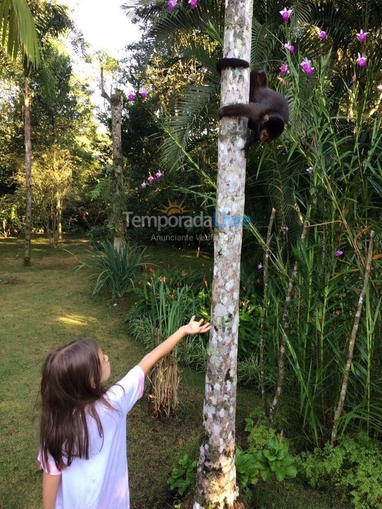 House for vacation rental in Bertioga (Riviera de São Lourenço)