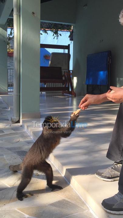 House for vacation rental in Bertioga (Riviera de São Lourenço)