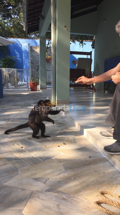 House for vacation rental in Bertioga (Riviera de São Lourenço)