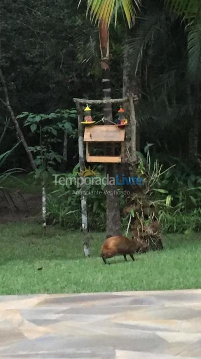 House for vacation rental in Bertioga (Riviera de São Lourenço)