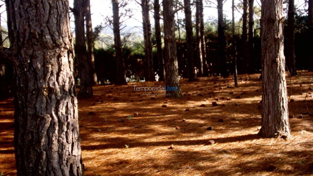 Chácara / sítio para aluguel de temporada em Ibiúna (Bairro da Ressaca)