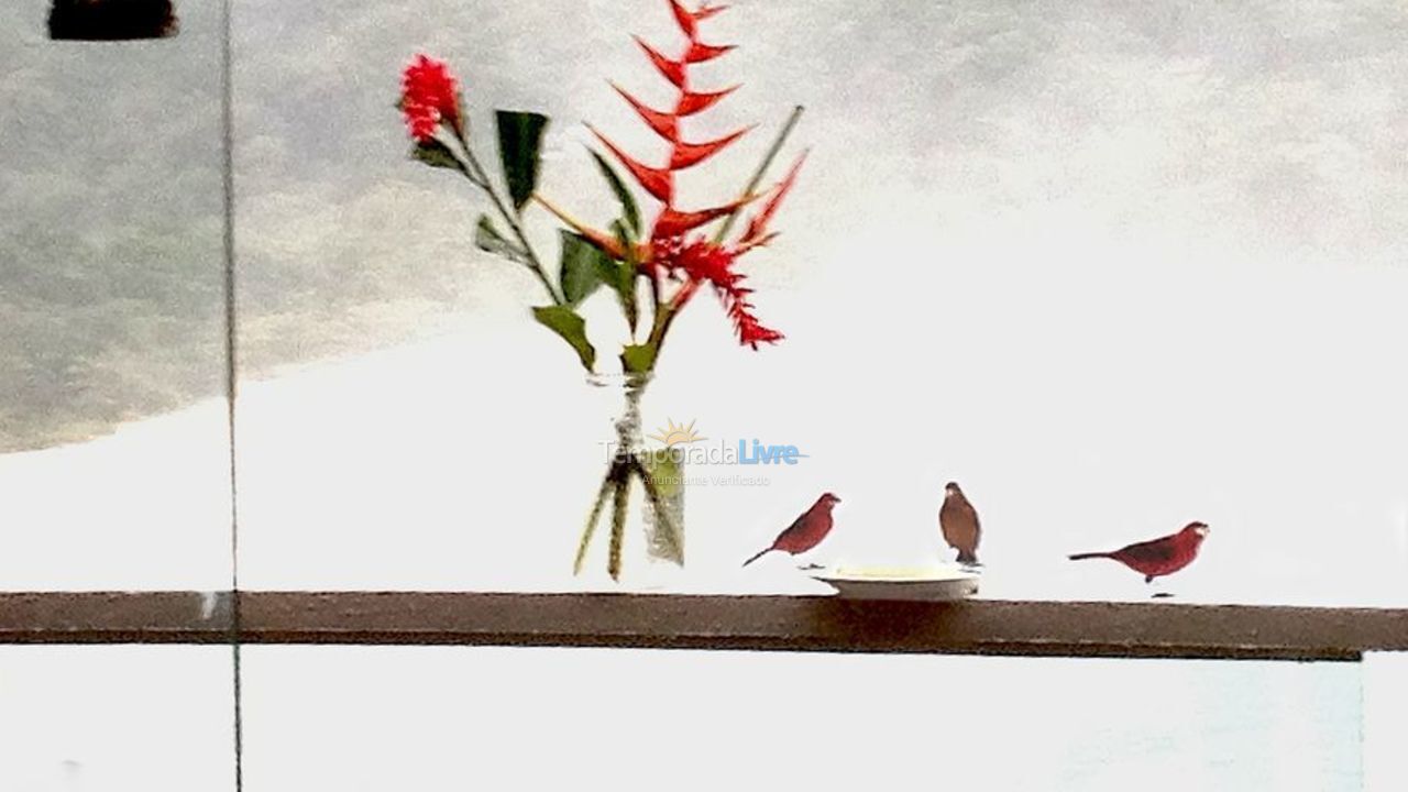 Casa para aluguel de temporada em São Sebastião (Barra do Sahy)