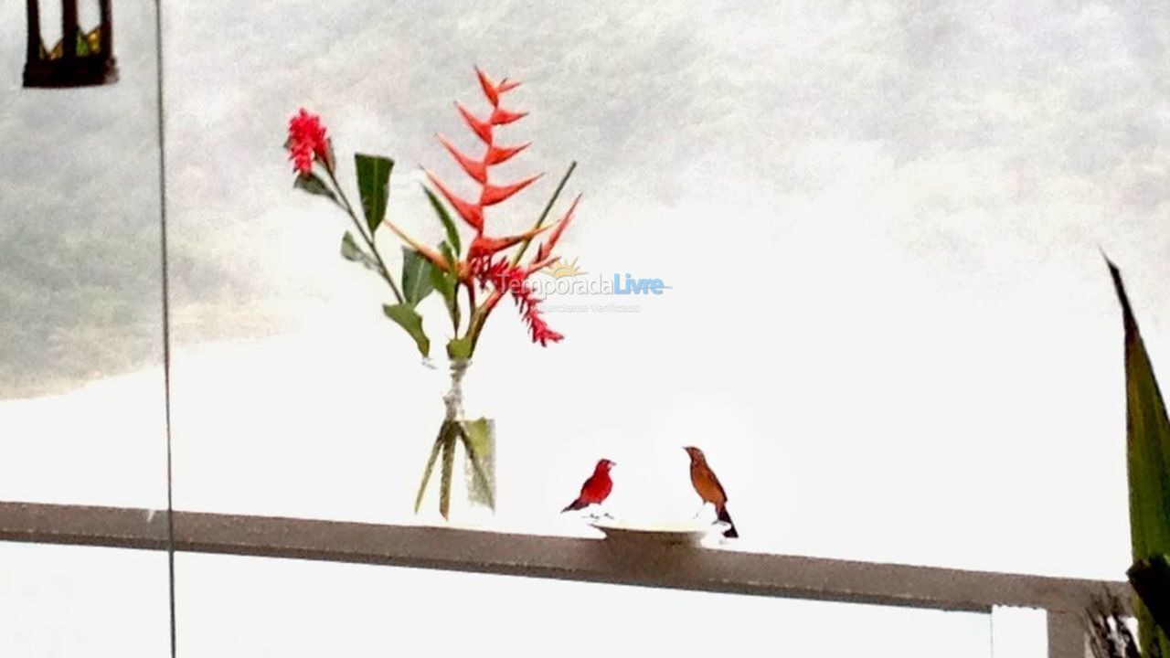 Casa para aluguel de temporada em São Sebastião (Barra do Sahy)