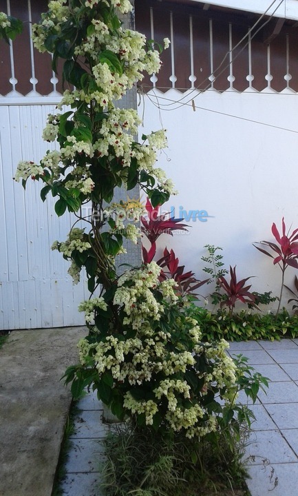 Casa para alquiler de vacaciones em Ubatuba (Lagoinha)