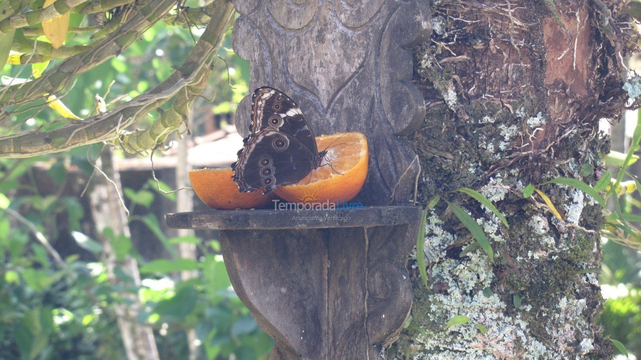 House for vacation rental in Ubatuba (Enseada)