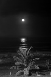 LUJOSA CASA BEIRA MAR DE ALTO ESTÁNDAR EN IMBITUBA "Le Sirenuse"