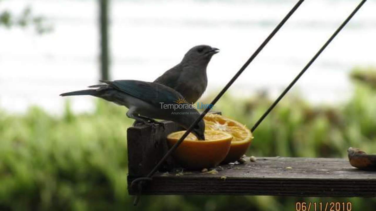 House for vacation rental in Ubatuba (Enseada)