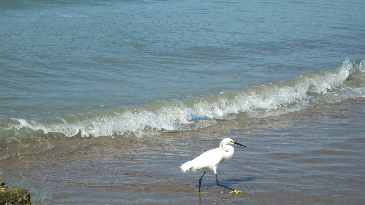Apartamento para aluguel de temporada em Ubatuba (Enseada)