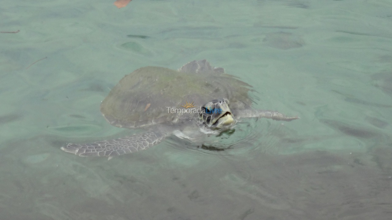 Casa para aluguel de temporada em São Sebastião (Paúba)
