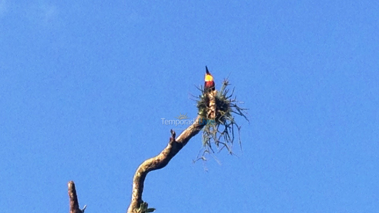 Casa para alquiler de vacaciones em São Sebastião (Praia da Jureia)