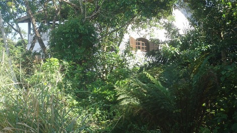 Vista da rua pela lateral