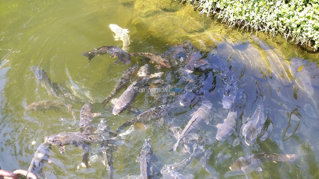Apartamento para alquiler de vacaciones em Ubatuba (Praia das Toninhas)