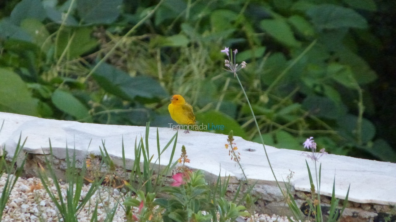 Casa para aluguel de temporada em Ilhabela (Siriúba)