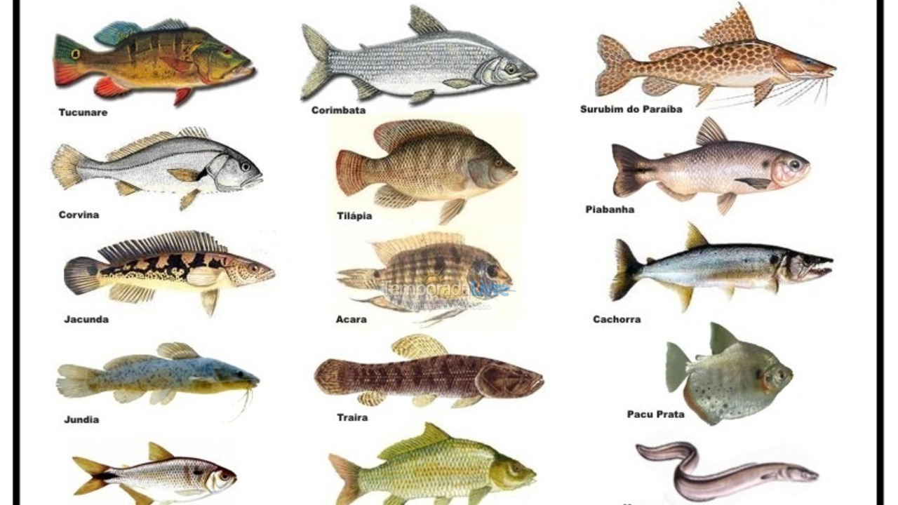 Ranch for vacation rental in Igaratá (Represa de Igaratá)