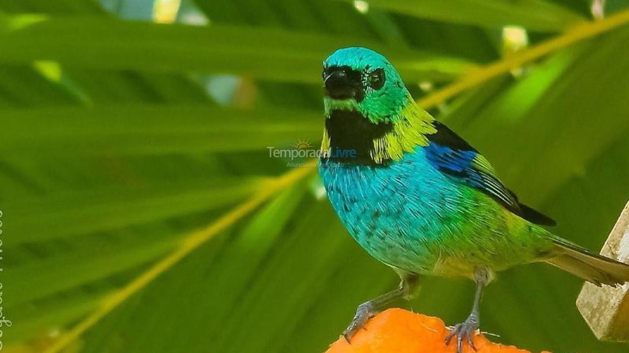 Casa para alquiler de vacaciones em Ubatuba (Praia de Itamambuca)