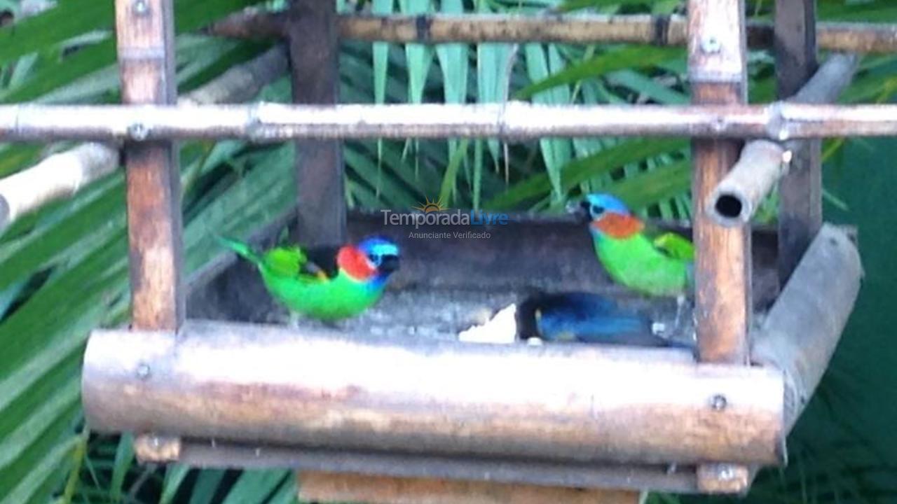 Casa para alquiler de vacaciones em Ubatuba (Praia de Itamambuca)