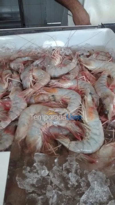 Apartamento para aluguel de temporada em Caraguatatuba (Martim de Sá)