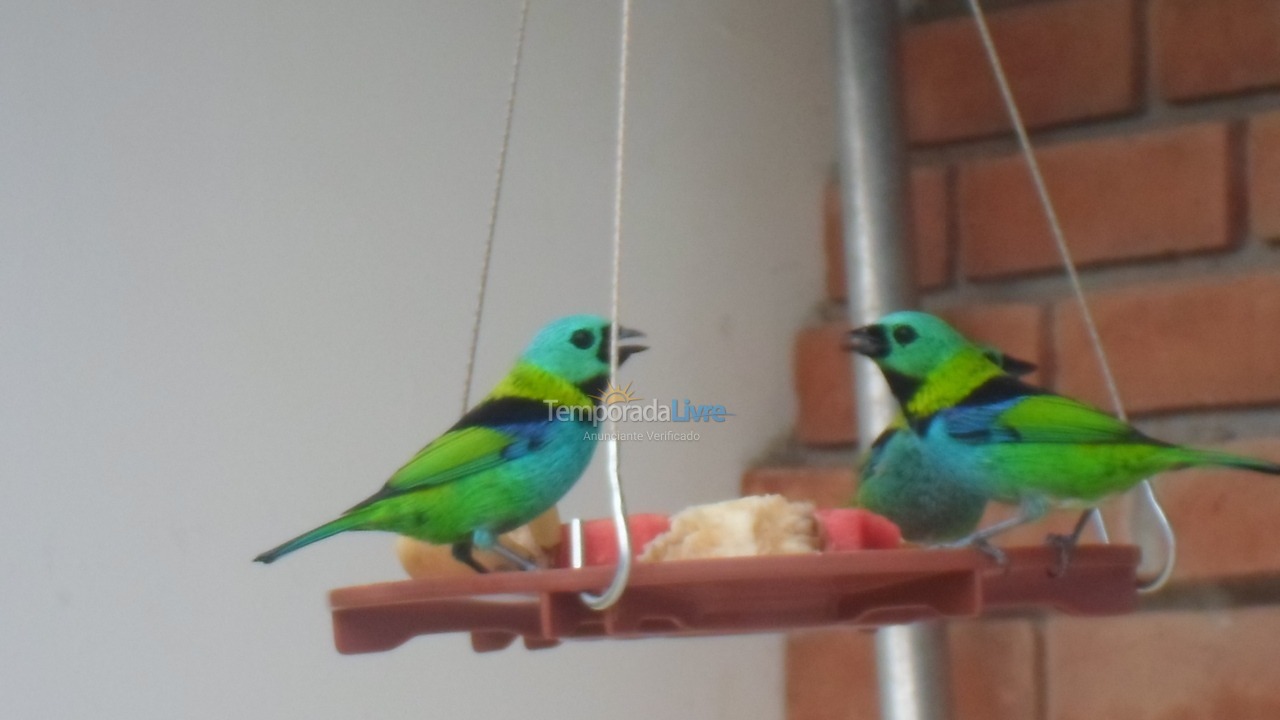 Casa para aluguel de temporada em Bertioga (Praia de Guaratuba)