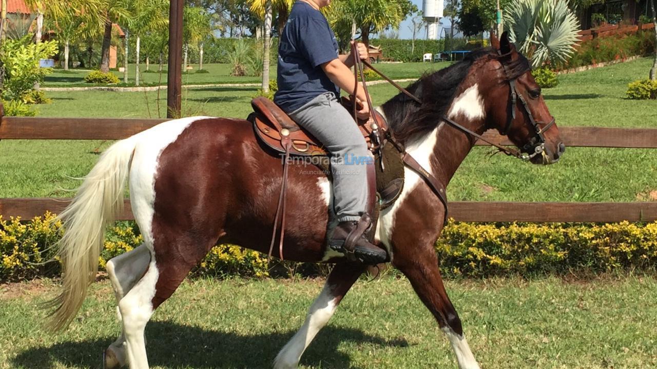 Ranch for vacation rental in Itu (Casa de Campo)