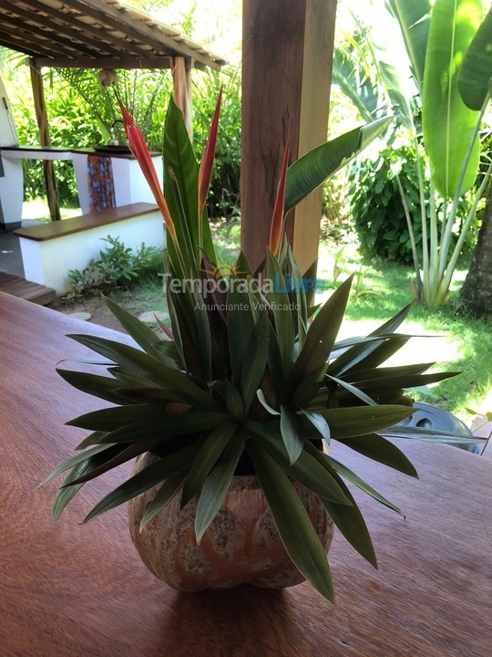 Casa para alquiler de vacaciones em Maraú (Tres Coqueiros)