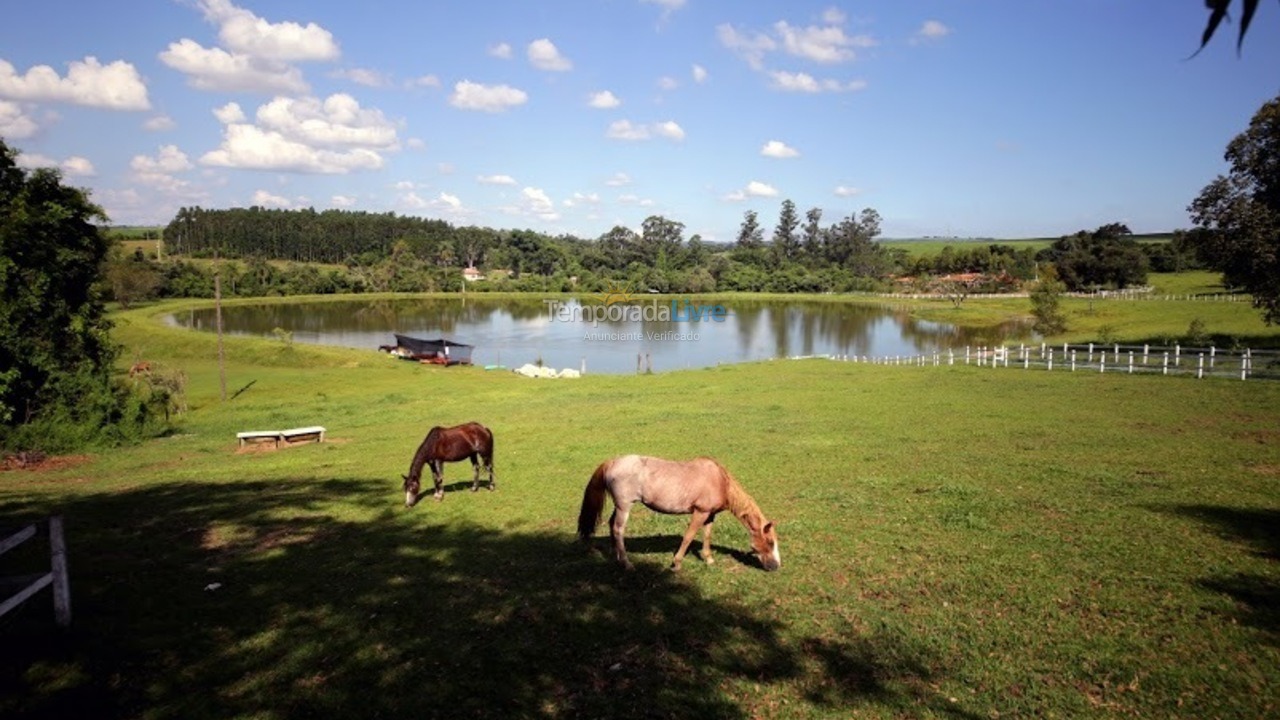 Ranch for vacation rental in Brotas (Rural)