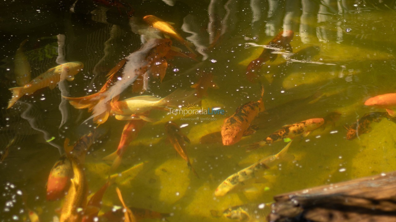 Casa para aluguel de temporada em Penha (Centro)
