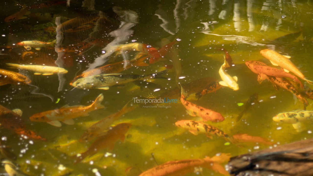Casa para aluguel de temporada em Penha (Centro)